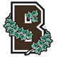 Brown football